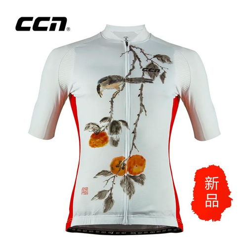 当艺术与华服相遇 名家手绘CCN中国风服装珍藏版为何一衣难求