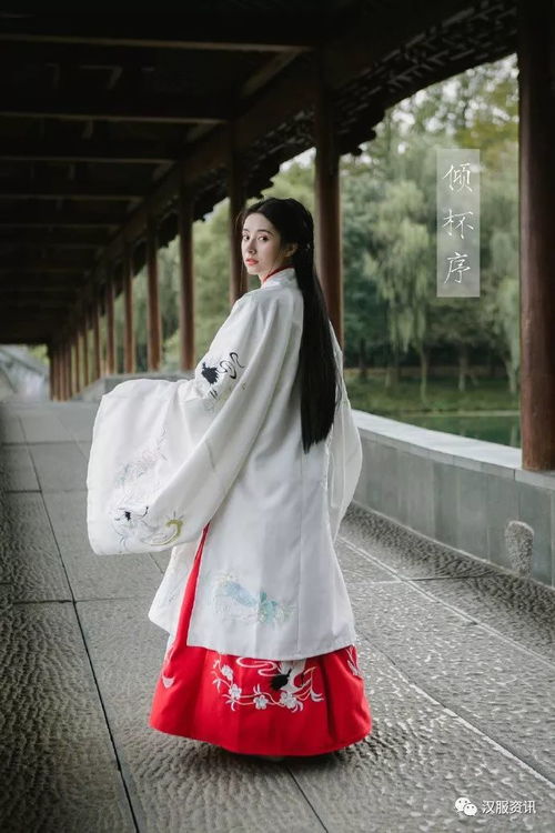 一日汉服成品市场动态 古典时尚与现代商业的融合